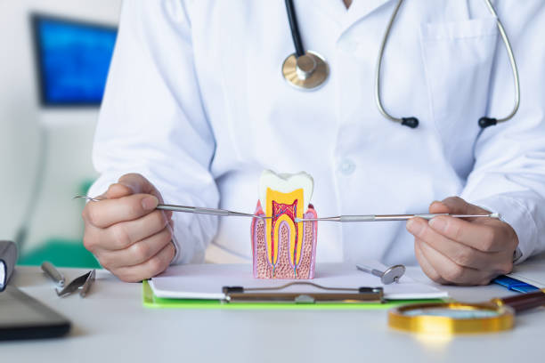 Best Emergency Dentist for Knocked-Out Tooth in Carolina Shores, NC